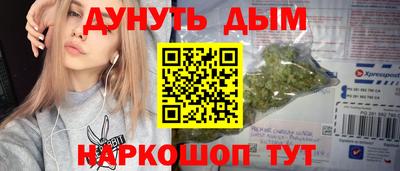 гашик Новозыбков