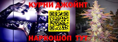 сатива Новодвинск