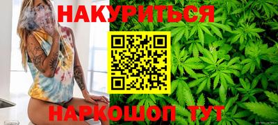 сатива Новодвинск