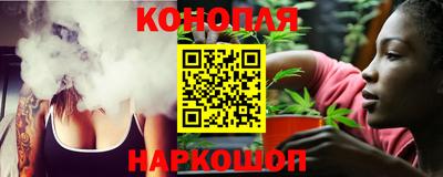 сатива Новодвинск