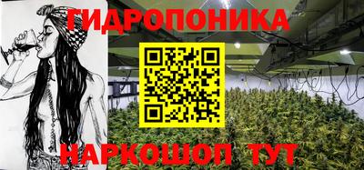 сатива Новодвинск