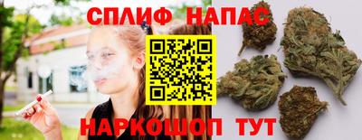 гашик Новозыбков