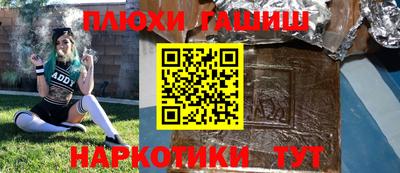 сатива Новодвинск