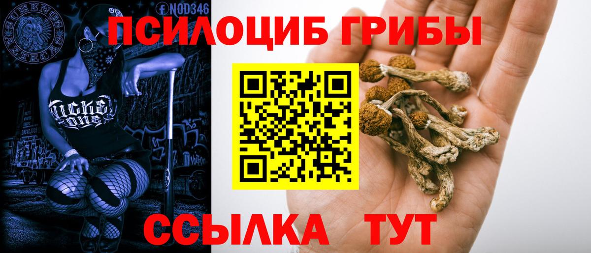 Фрязино  Псилоцибиновые грибы Psilocybe  Вход с VPN 